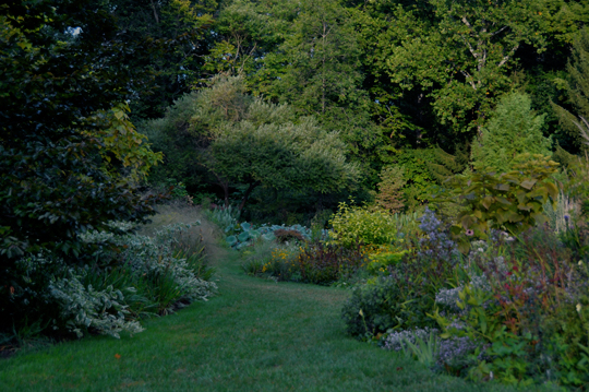 Pond