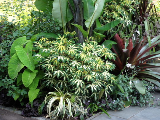 Entrance Garden