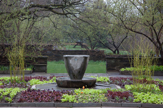 teacup garden