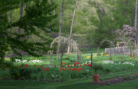 cutting garden