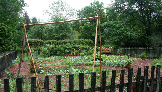 Vegetable Garden
