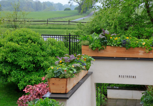 Vegetable boxes