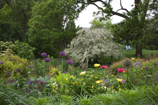 tennis court garden