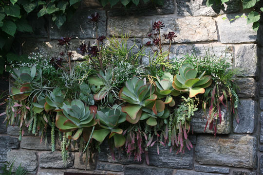 ruin mantel