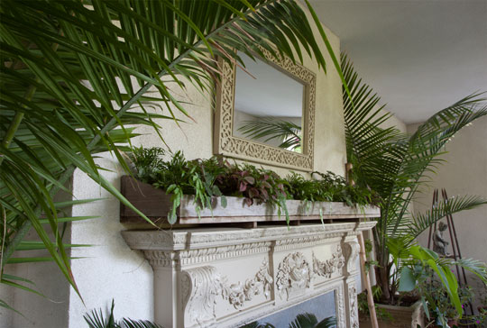 Green Mantle