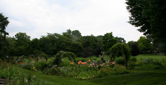 Cut Flower Garden