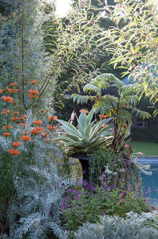The Chanticleer Gravel Terrace