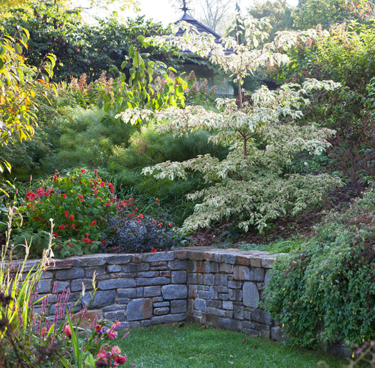 Tennis Court Garden