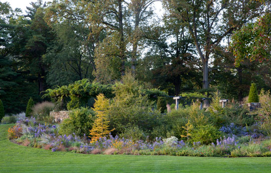 Winter Shrub border