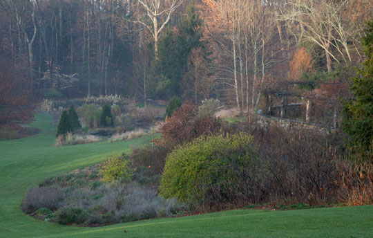 Pond Garden