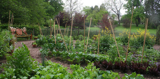 Vegetable Garden