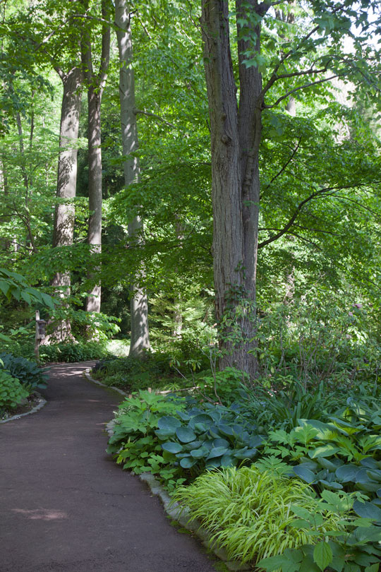 The Asian Woods Garden