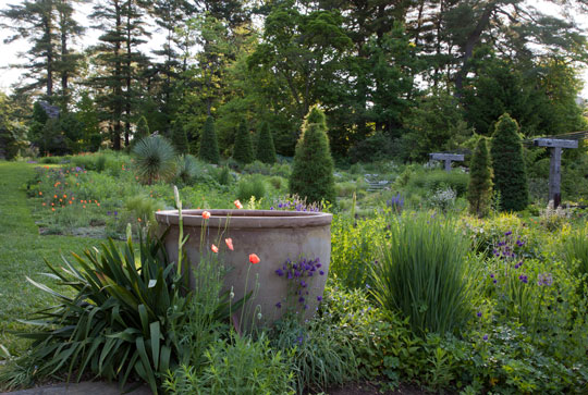 Gravel Garden