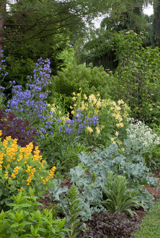 Long Border