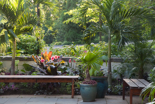 Entry Garden