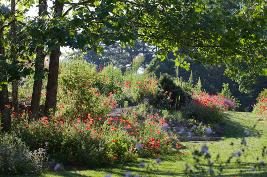 The Pond