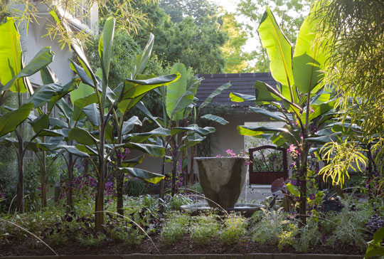 The Teacup Garden