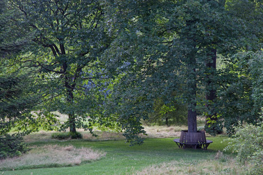 Orchard Lawn