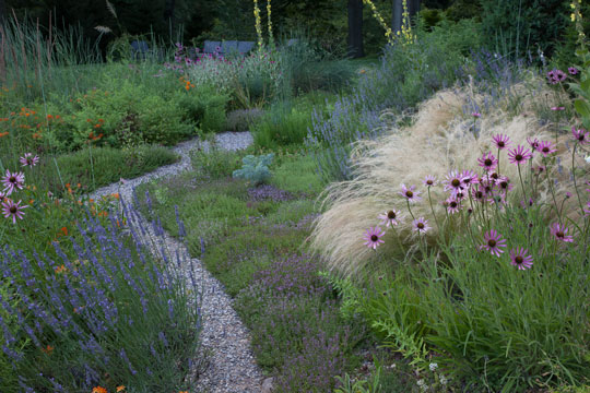 The Gravel Garden
