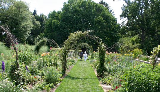 The Cut Flower Garden