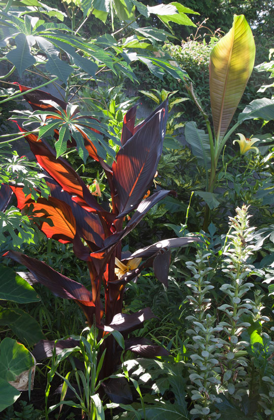 Mixed Border