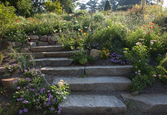 new Gravel Garden