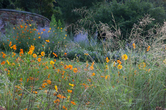 The Pond Garden