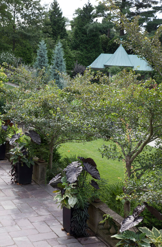 The Chanticleer Terraces
