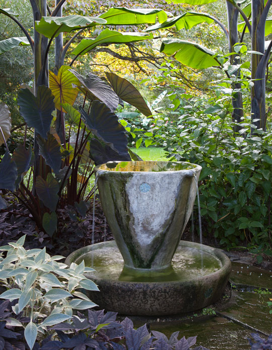 The Tea Cup Garden