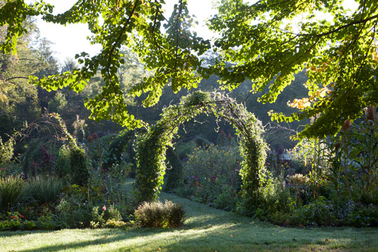 Cut Flower Garden