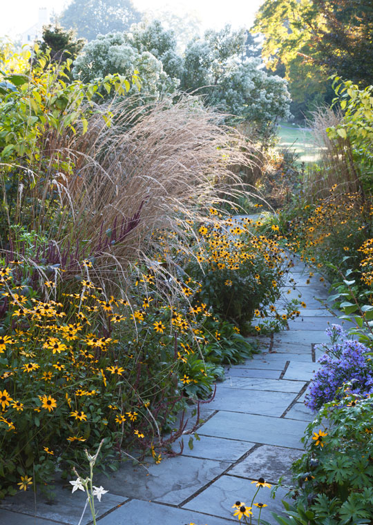 The Pond