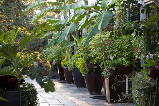 The Chanticleer Terrace