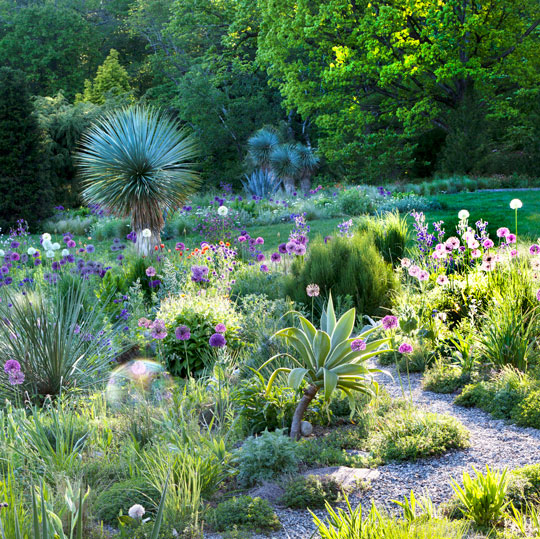 gravel_garden