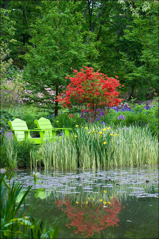 pond_garden